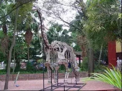 1亿5千万年前的恐龙化石,1亿年前的恐龙