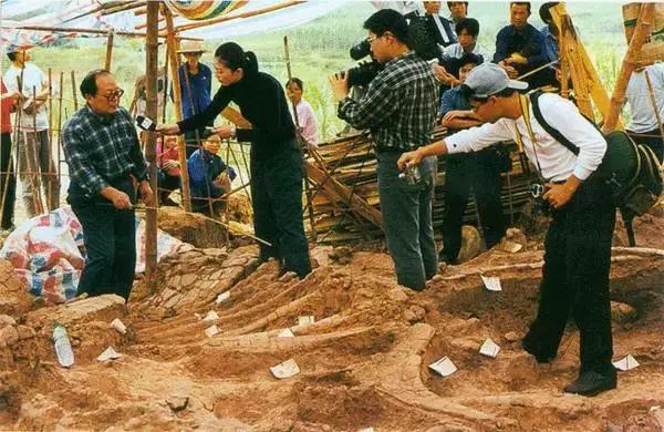 1亿5千万年前的恐龙化石,1亿年前的恐龙