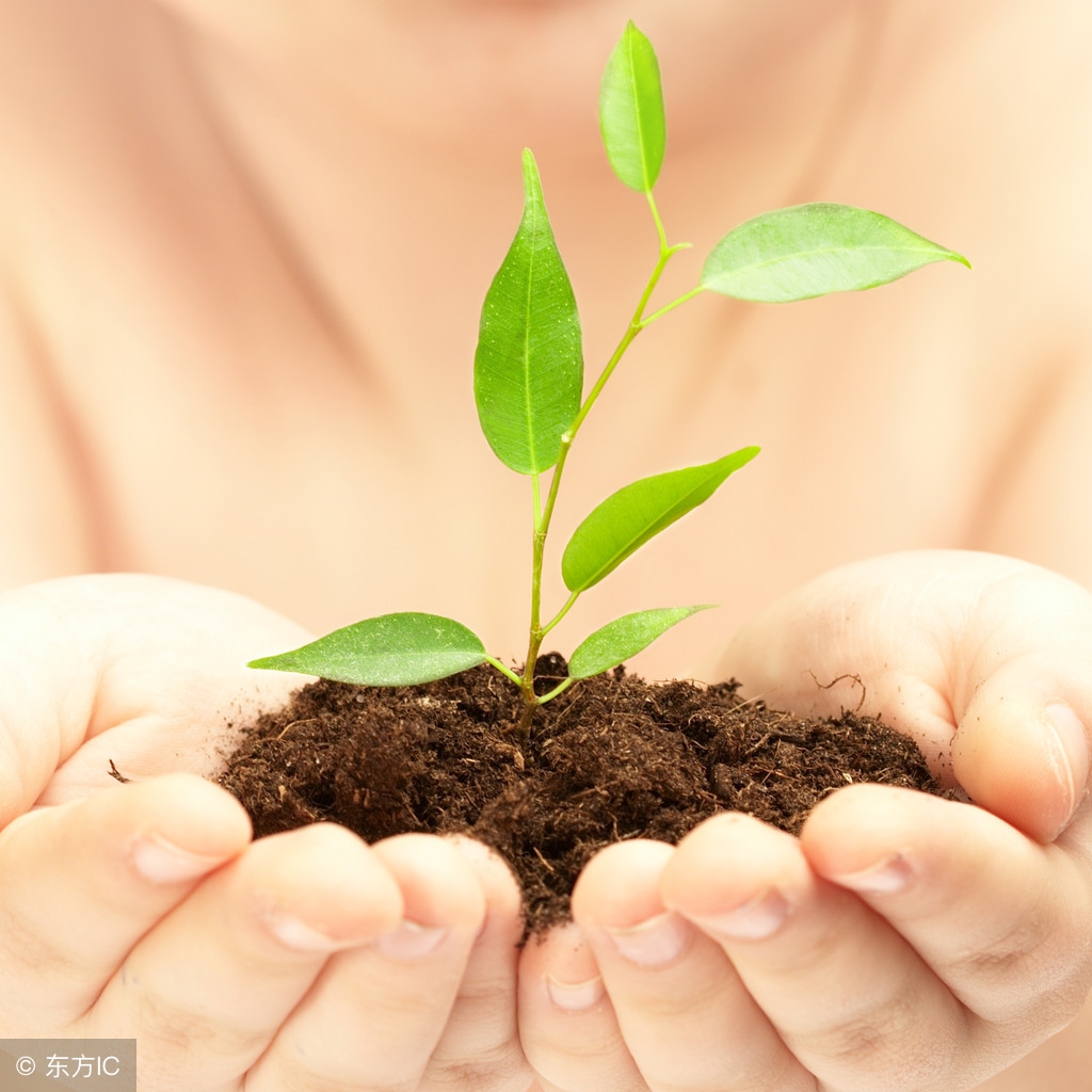 生活小窍门40个,生活小窍门41种水果