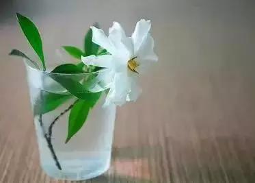 有一种深爱叫不再联系的歌曲,有一种深爱叫不联系却不打扰