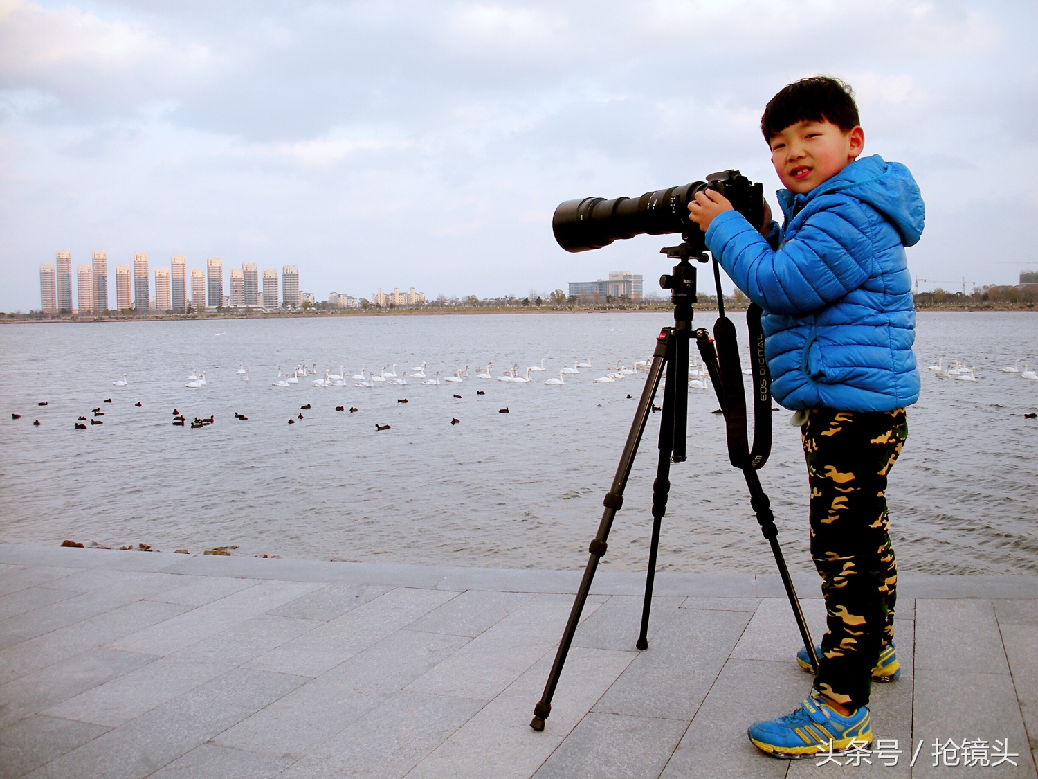 关于柳树的经典诗句,关于柳树的诗句及赏析