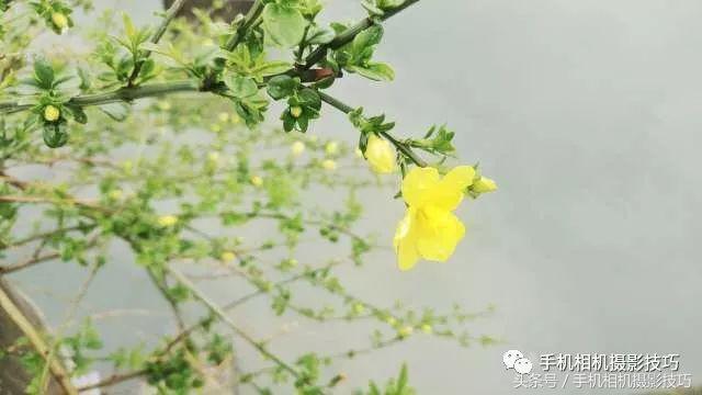 怎么判断一张照片是不是拍废了？画一个圈就好了