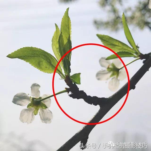 怎么判断一张照片是不是拍废了？画一个圈就好了