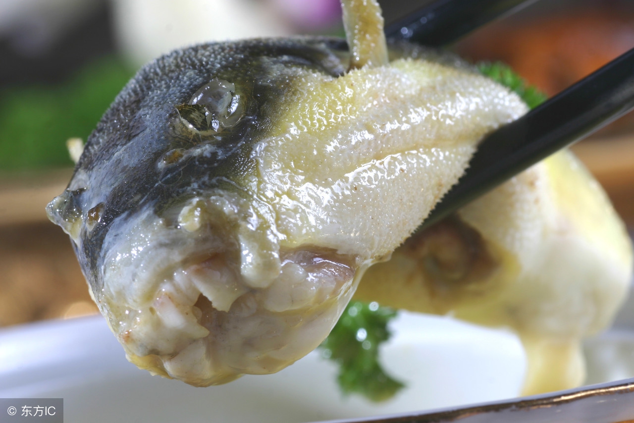 春江水暖鸭先知节气,春江水暖鸭先知是哪个季节