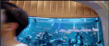 偶像练习生18年有多火,偶像练习生四大招牌小鲜肉