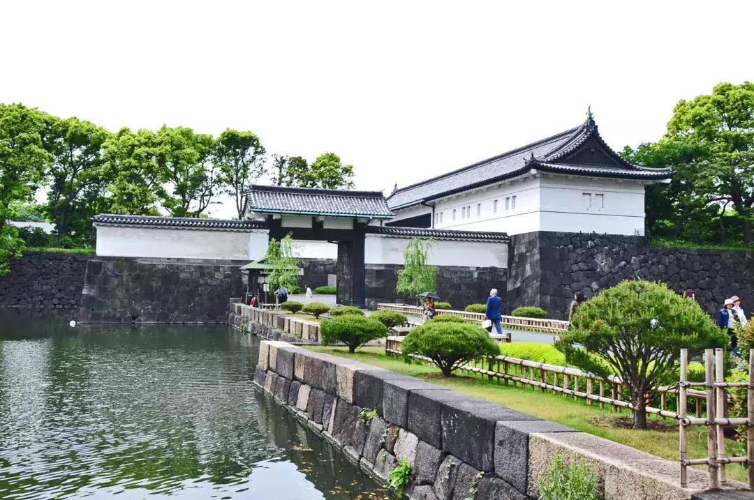 旅游攻略日本食物,旅游逛吃攻略怎么做