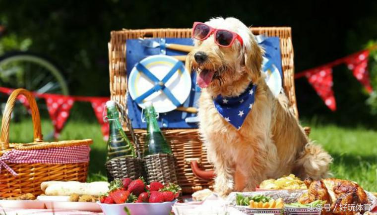 武汉海昌极地杯2018DOGRUN乐跑武汉站来啦！汉马月，一起跑起来！