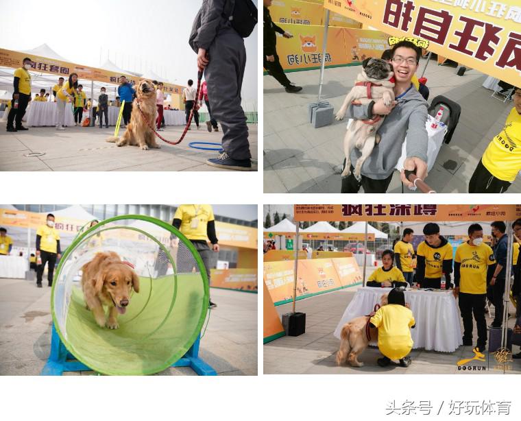 武汉海昌极地杯2018DOGRUN乐跑武汉站来啦！汉马月，一起跑起来！