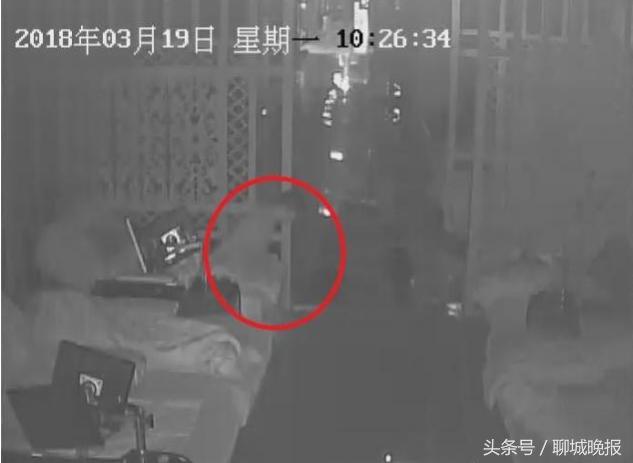 3女子浴场过夜被人舔脚趾,嫌疑人被抓:看到女的穿拖鞋就忍不住