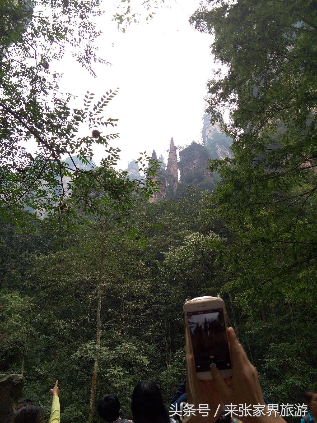 山东到张家界凤凰五日游攻略图文,佛山去张家界旅游攻略路线推荐图