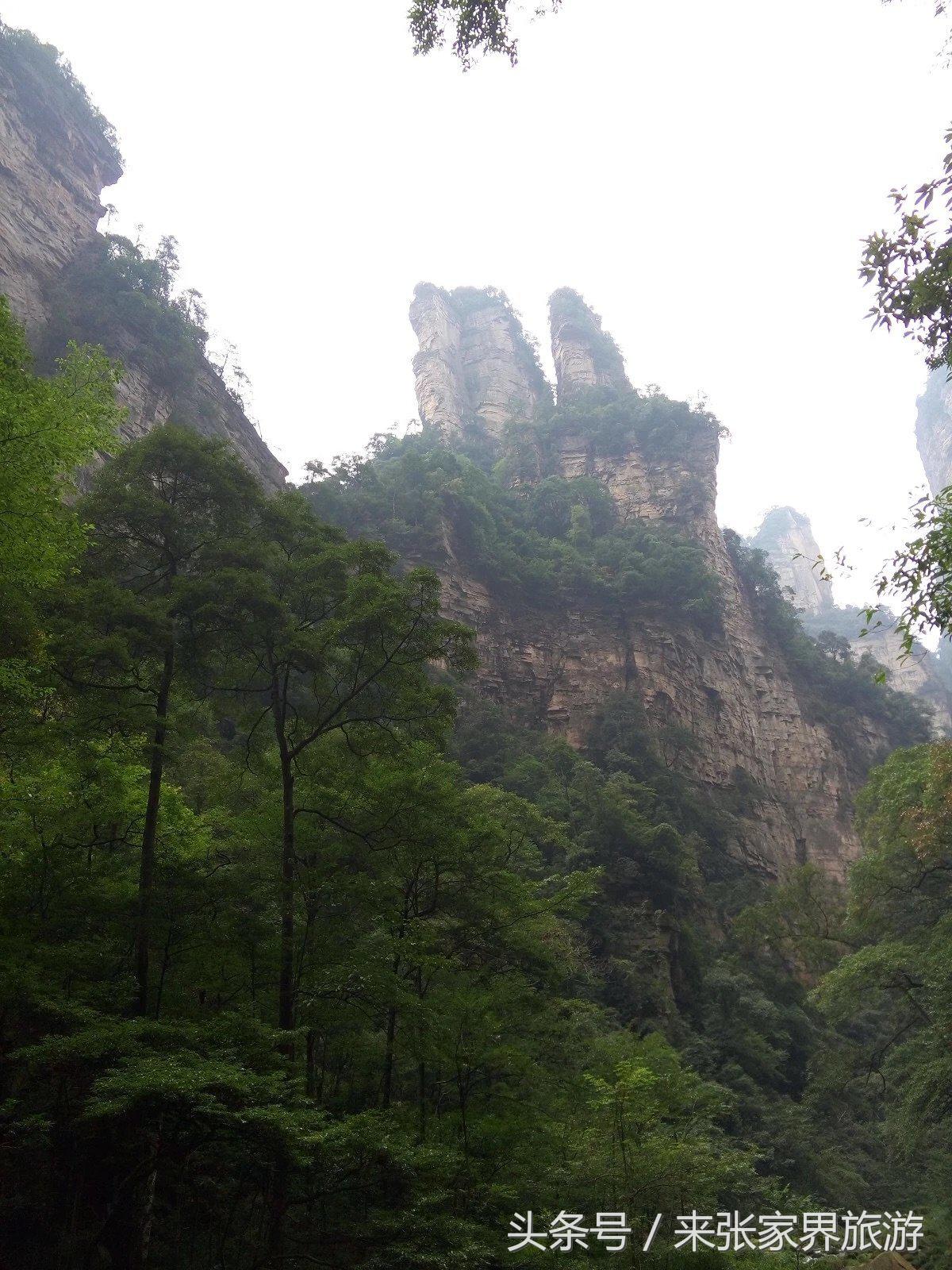 山东到张家界凤凰五日游攻略图文,佛山去张家界旅游攻略路线推荐图