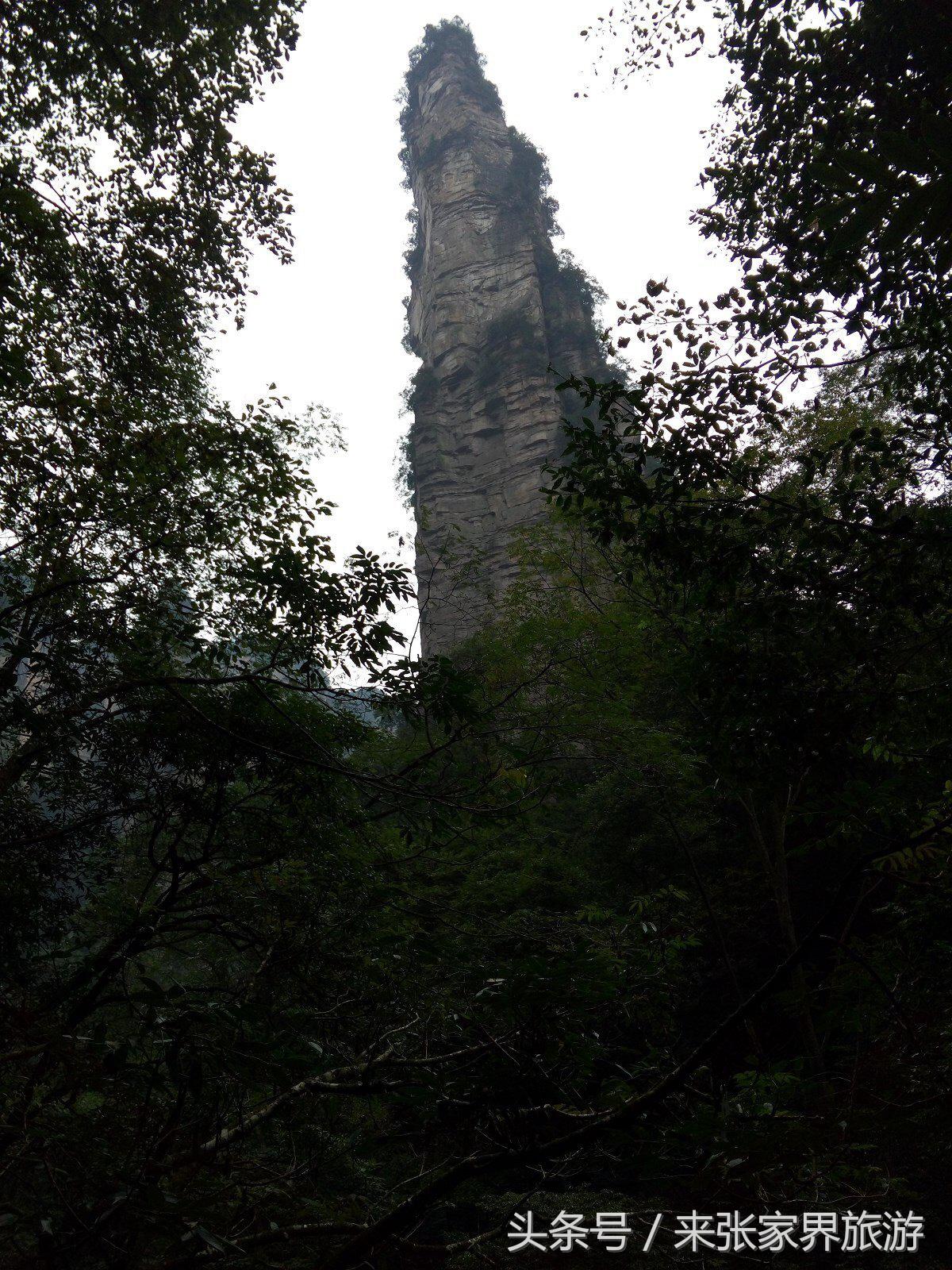 山东到张家界凤凰五日游攻略图文,佛山去张家界旅游攻略路线推荐图