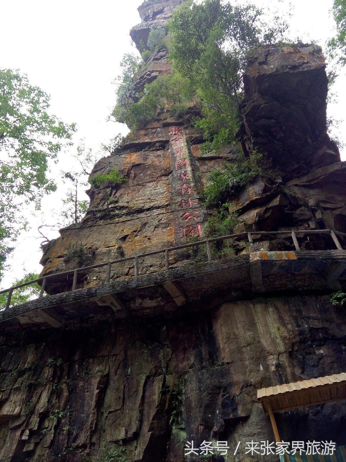 山东到张家界凤凰五日游攻略图文,佛山去张家界旅游攻略路线推荐图