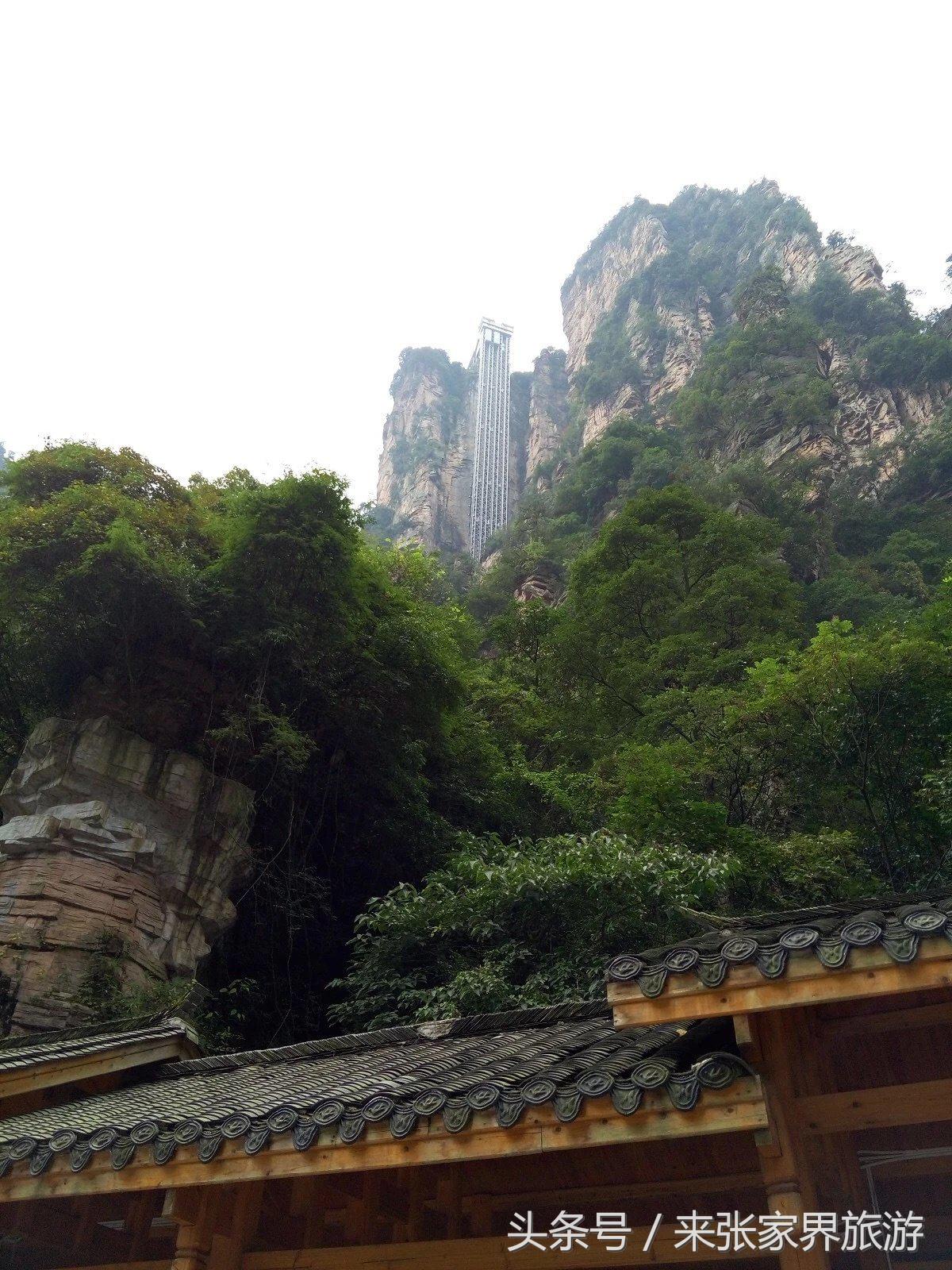 山东到张家界凤凰五日游攻略图文,佛山去张家界旅游攻略路线推荐图