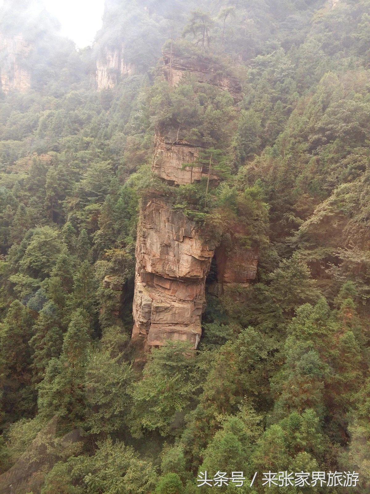 山东到张家界凤凰五日游攻略图文,佛山去张家界旅游攻略路线推荐图