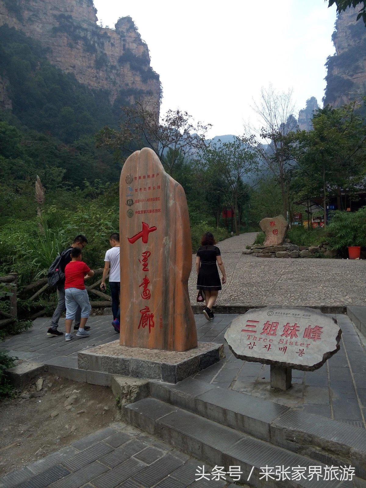 山东到张家界凤凰五日游攻略图文,佛山去张家界旅游攻略路线推荐图