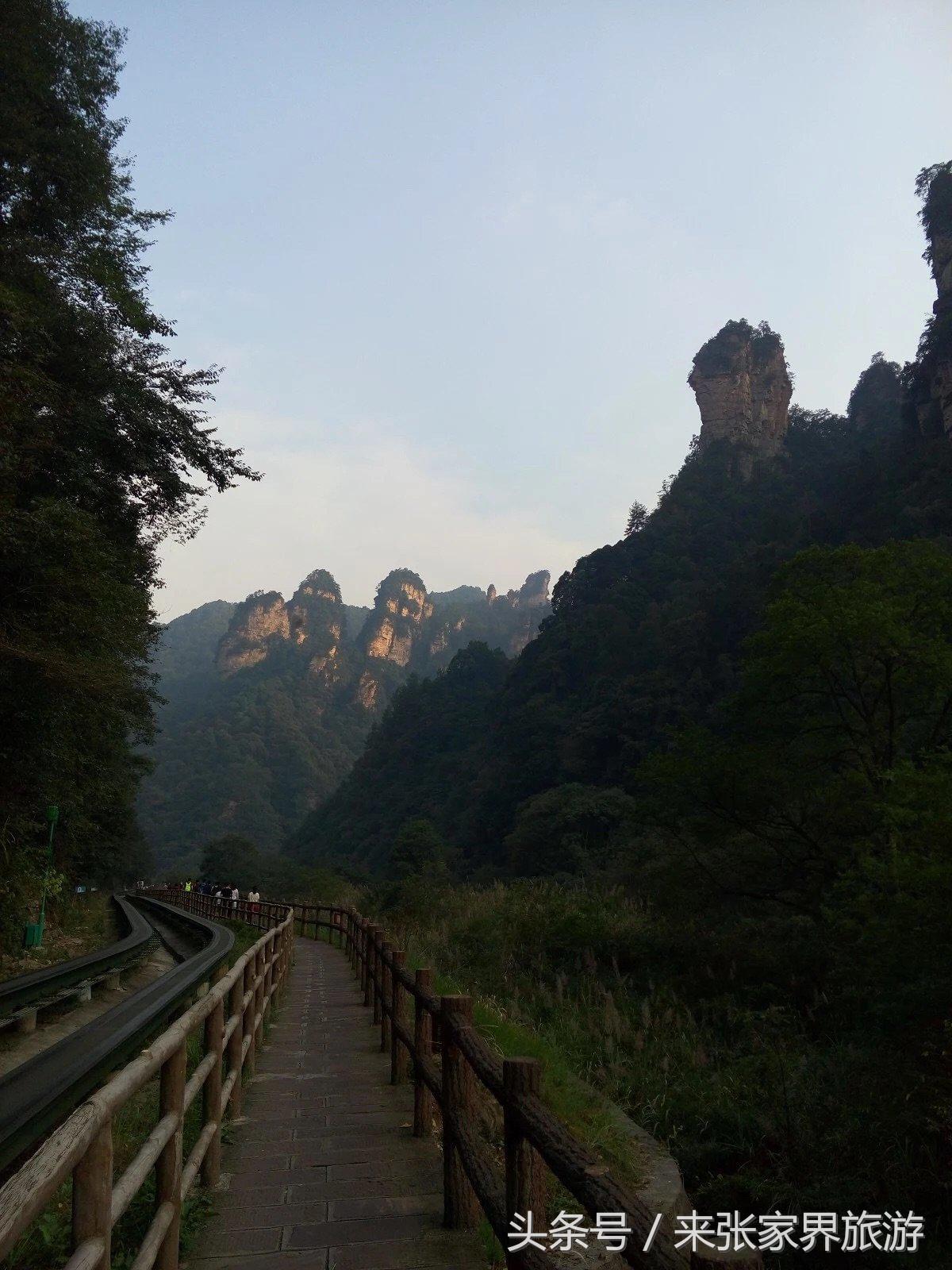 山东到张家界凤凰五日游攻略图文,佛山去张家界旅游攻略路线推荐图