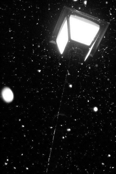 同甘共苦你不陪荣华富贵你不配,同甘共苦你不陪东山再起你不配