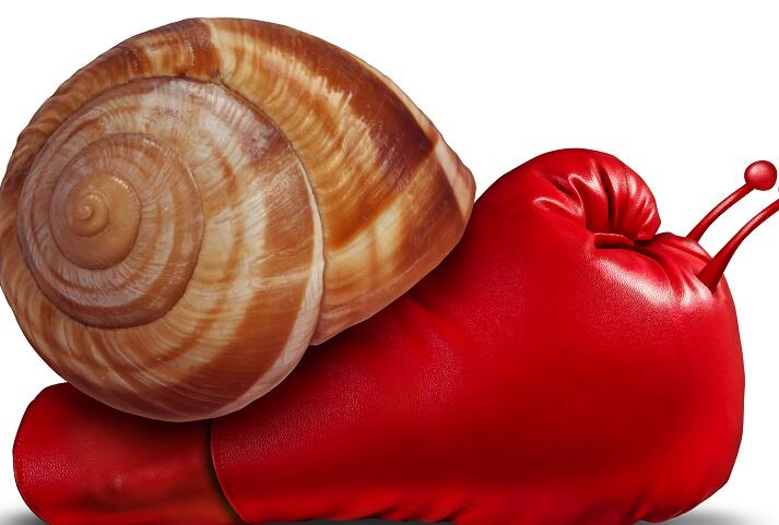 宜信回应整顿传闻,宜信最新事件