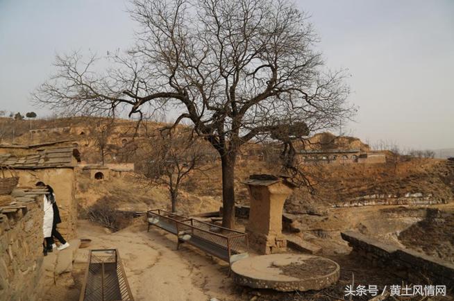 有多少人知道《泪蛋蛋抛在沙蒿蒿林》背后的悲壮爱情故事?