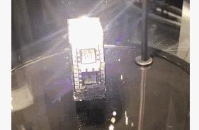 “社会人”认证，只有小猪佩奇还不够，戴上它们才算圆满