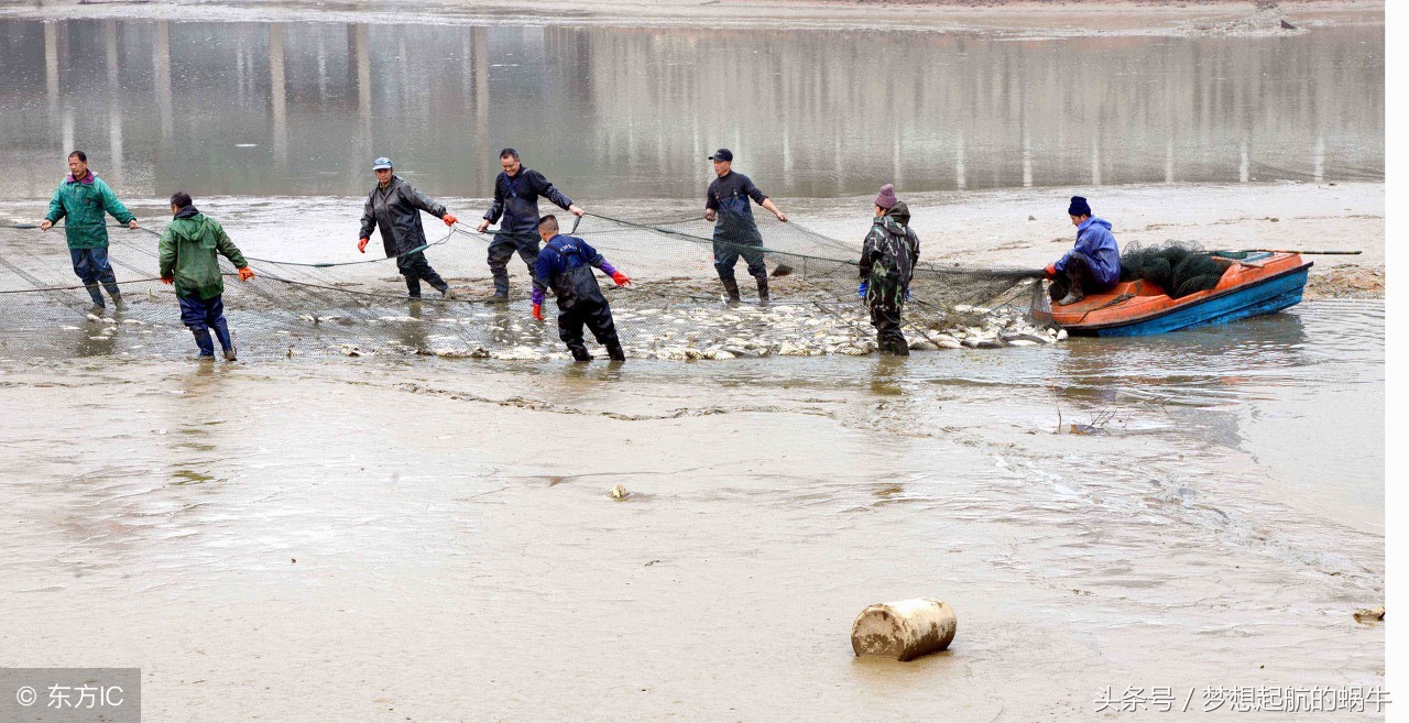 创业项目推荐适合农村小本生意,小本创业加盟代理低金额创业商机