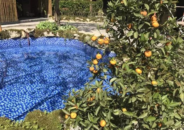 飞两千多公里，得到一座奇幻山林，一个温暖的家，一群有趣的人