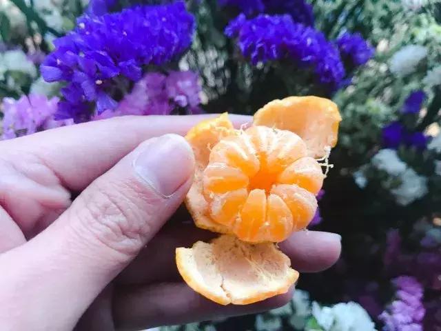 飞两千多公里，得到一座奇幻山林，一个温暖的家，一群有趣的人