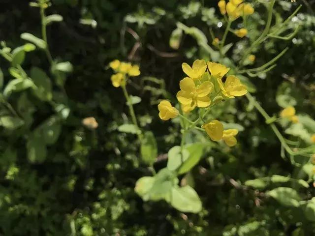 飞两千多公里，得到一座奇幻山林，一个温暖的家，一群有趣的人