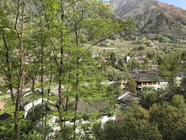 飞两千多公里，得到一座奇幻山林，一个温暖的家，一群有趣的人