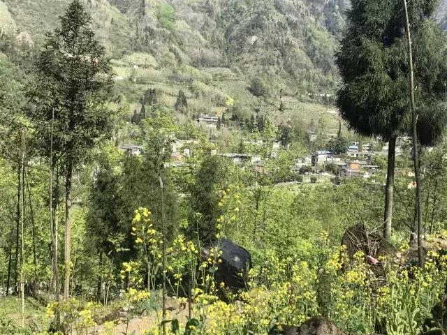 飞两千多公里，得到一座奇幻山林，一个温暖的家，一群有趣的人