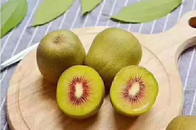 飞两千多公里，得到一座奇幻山林，一个温暖的家，一群有趣的人