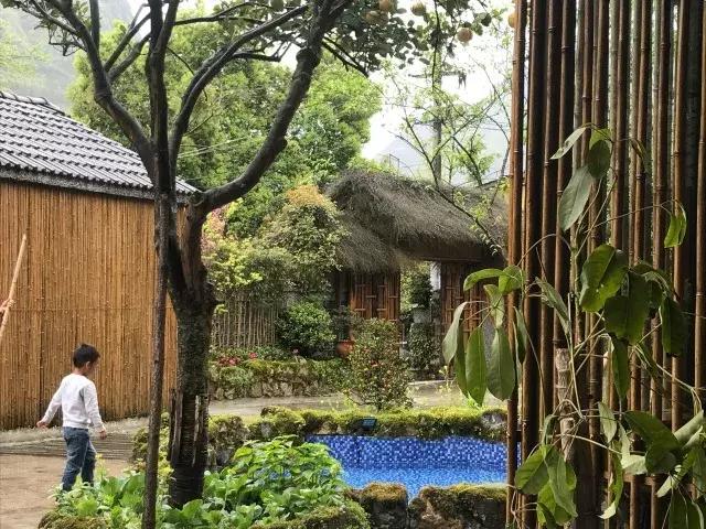 飞两千多公里，得到一座奇幻山林，一个温暖的家，一群有趣的人