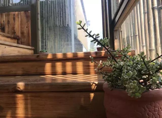 飞两千多公里，得到一座奇幻山林，一个温暖的家，一群有趣的人