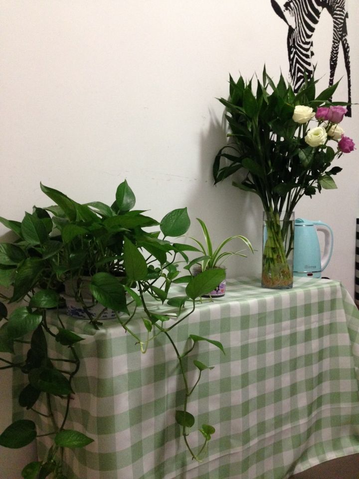 怎样花最少的钱布置出租房,怎么收拾一间出租屋显得温馨