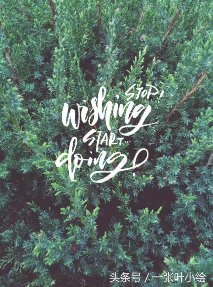 ps做好看的英文艺术字,实用英文美术字创意图典