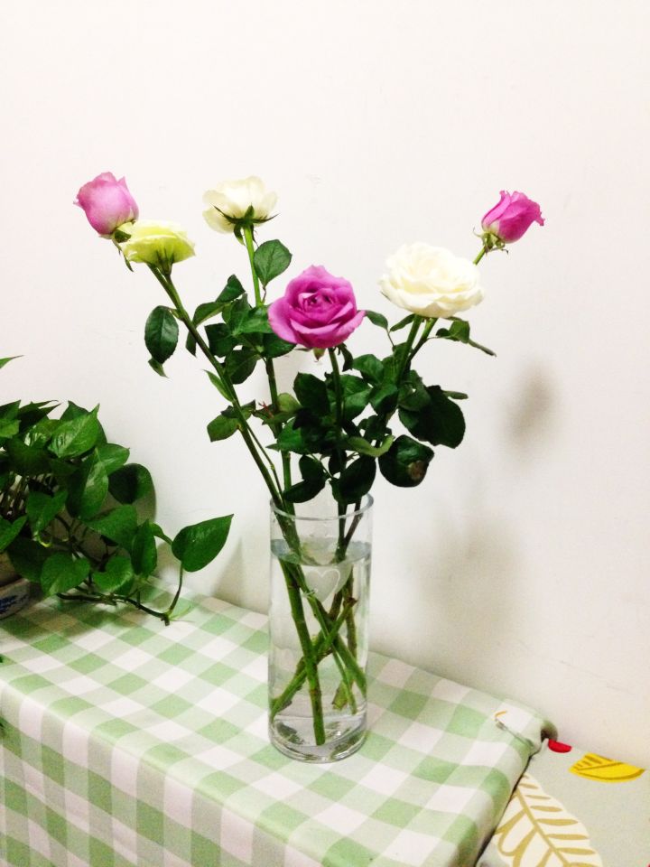 怎样花最少的钱布置出租房,怎么收拾一间出租屋显得温馨