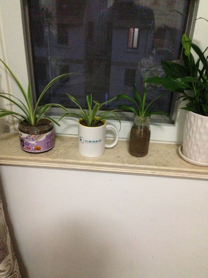 怎样花最少的钱布置出租房,怎么收拾一间出租屋显得温馨