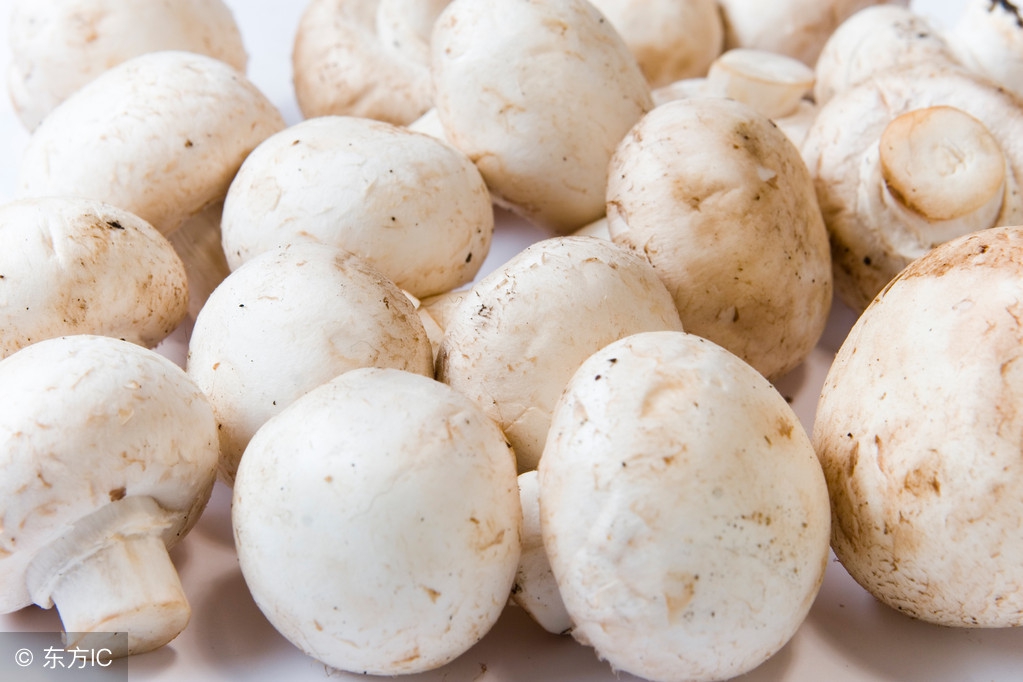 小伙走浙江之印象-衢州江山篇