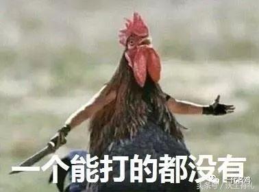 公鸡母鸡不带小鸡,公鸡没有鸡子吗