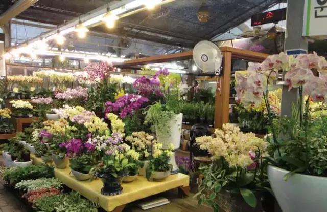 开一花店赚钱吗,投资花店赚钱吗