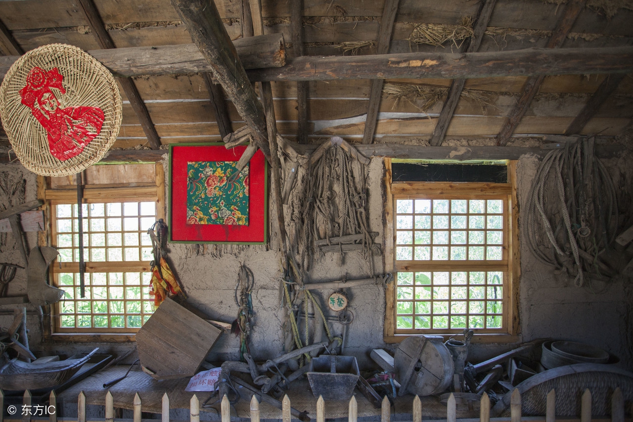 农民在家创业项目推荐2020,农民回村搞创业种植成本低收益大