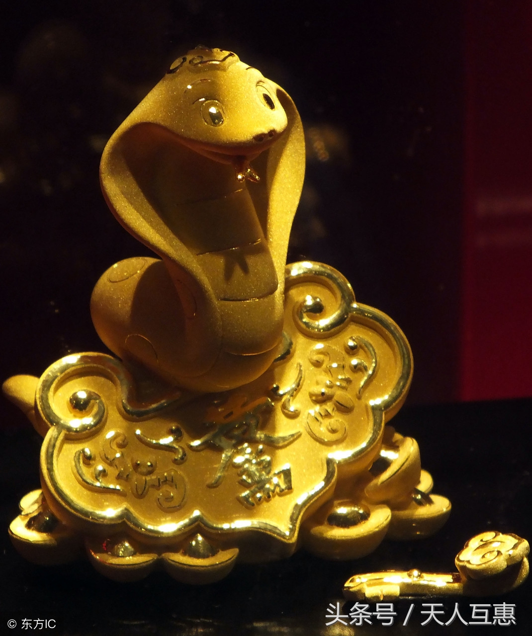 风水学十二生肖最佳布局,十二生肖之风水招财转运法