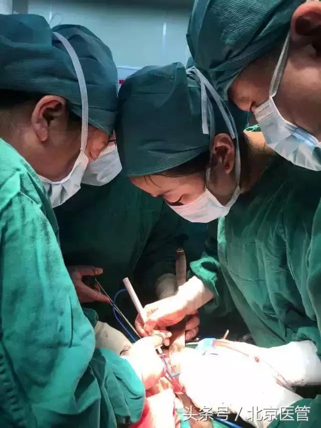 鍙岀檶閲嶇敓鑷晳,鍙岀檶閲嶇棁閲嶇敓