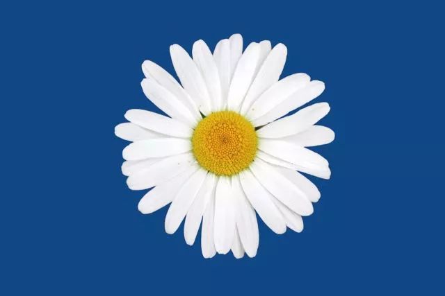 我做了痔疮手术后为什么还会出血,痔疮手术后11天亲身经历