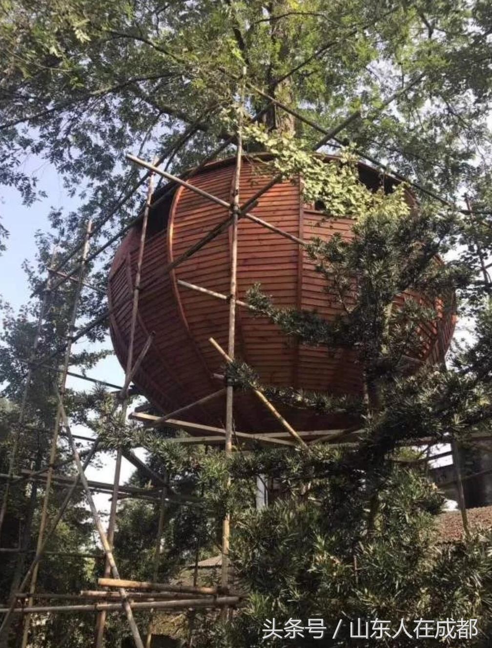 要火！去年刷爆朋友圈的温江紫薇园，今年要修长廊、观景台！