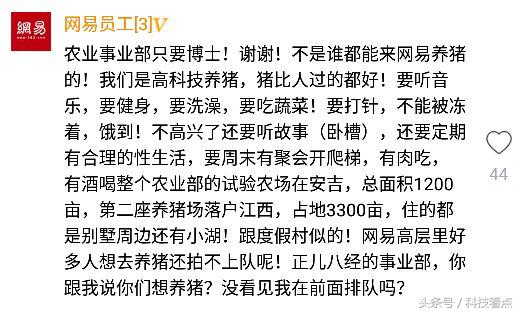 网易农业部养猪是真的吗?平头哥王兴不裁员你信吗?