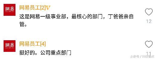 网易农业部养猪是真的吗?平头哥王兴不裁员你信吗?