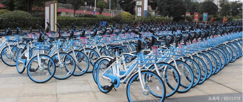 哈罗单车免押免费骑琼海,哈啰免押金租车