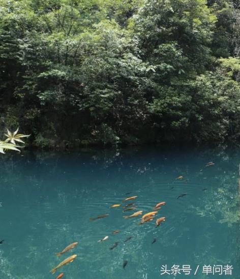 杭州西部还会发展吗,杭州西部县市发展